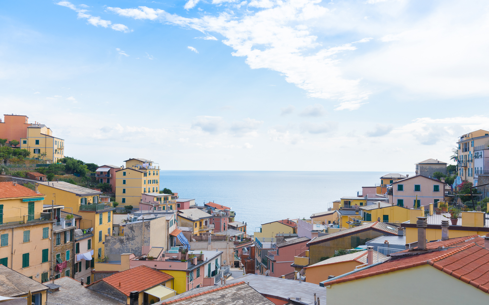 8b9bfffa878ee6ce04bc2f1f5d25242d.jpg 4444.jpg