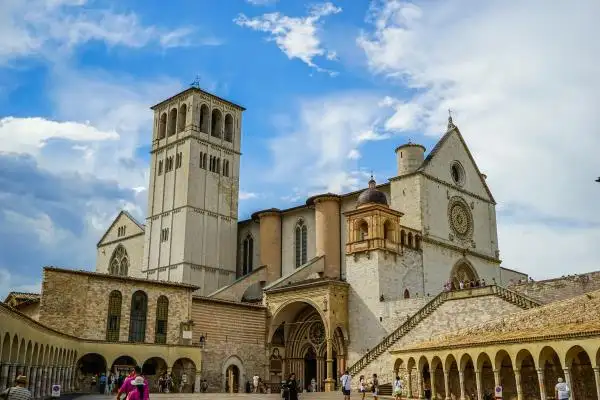 a55e9579add252b0ea067b81eeebcbe9.png 22222.png