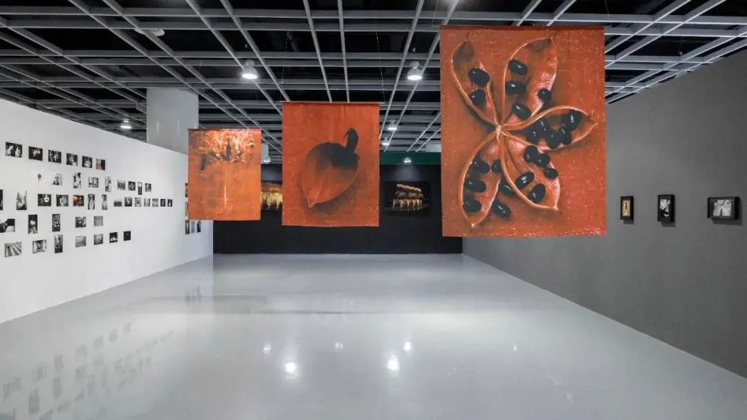 fc2890056c8eaf2377cb16c2e14a65fe.jpg 2222222.jpg