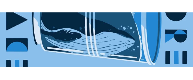 b6cf0d00ee3ac289df3af83b18e5919b.png 11111111.png