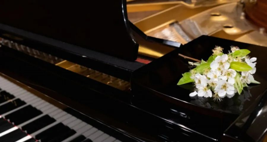 23ecae6632ae3553144c58f3fc9d4632.png 2222222.png