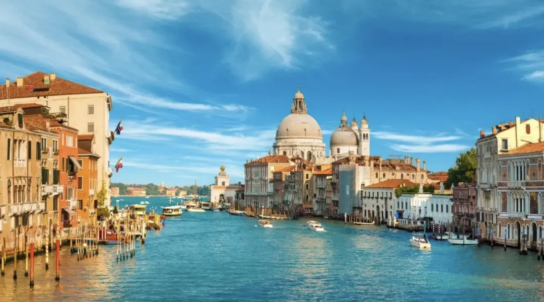 f39fae063006aa3d02a0a3a838376f65.png 222222.png